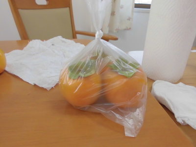 CIMG0098.JPG
